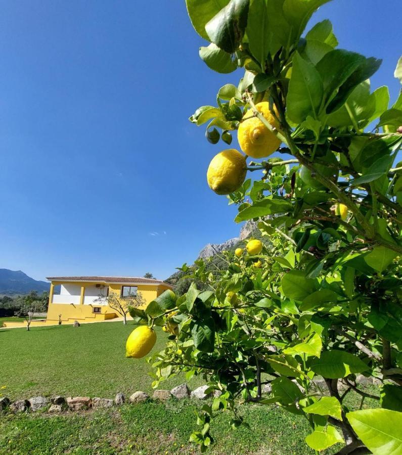 Villa Indipendente con PISCINA USO ESCLUSIVO Siniscola Exterior foto